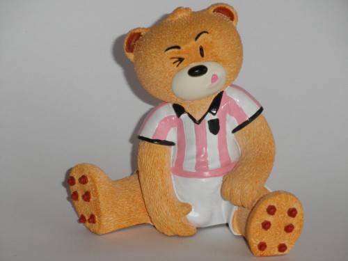 Bear photo