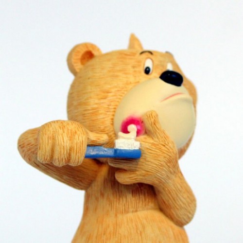 Bear photo