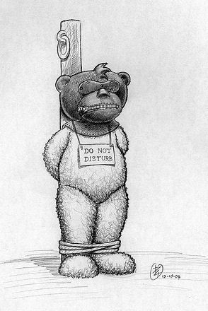 Bear photo