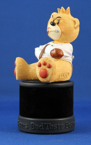 Bear photo