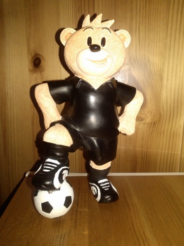 Bear photo