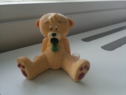Bear photo