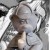 Sherlock Holmes (Grey)