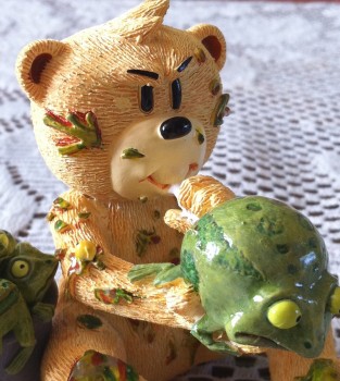 Bear photo
