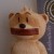 Bob (Unnumbered File Copy)