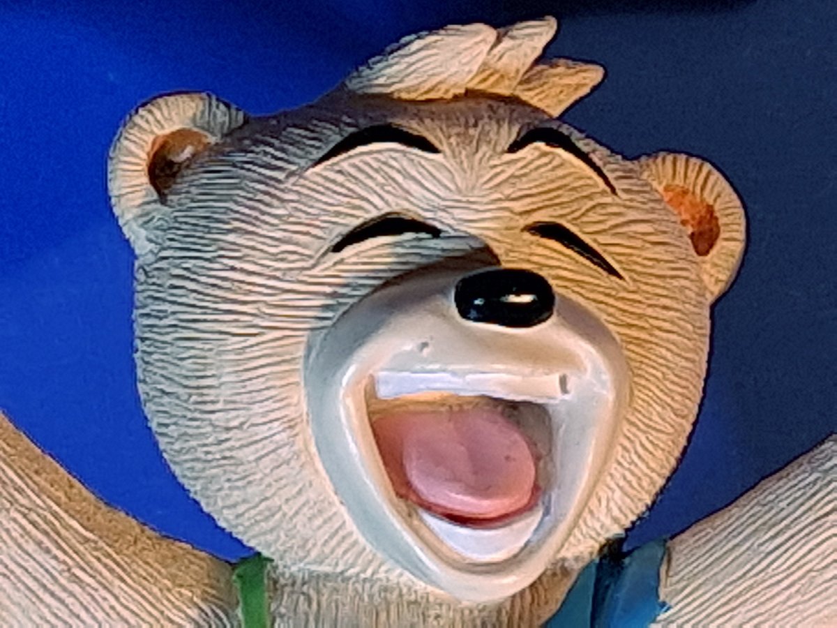 Bear photo