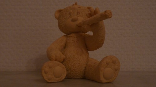 Bear photo