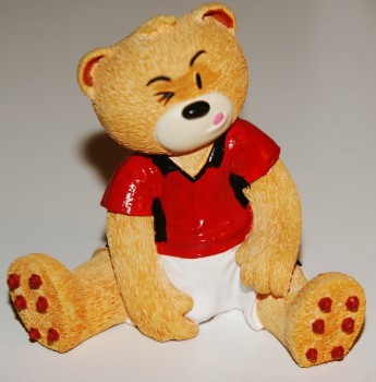 Bear photo