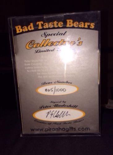 Bear photo