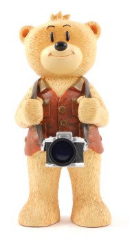 Bear photo